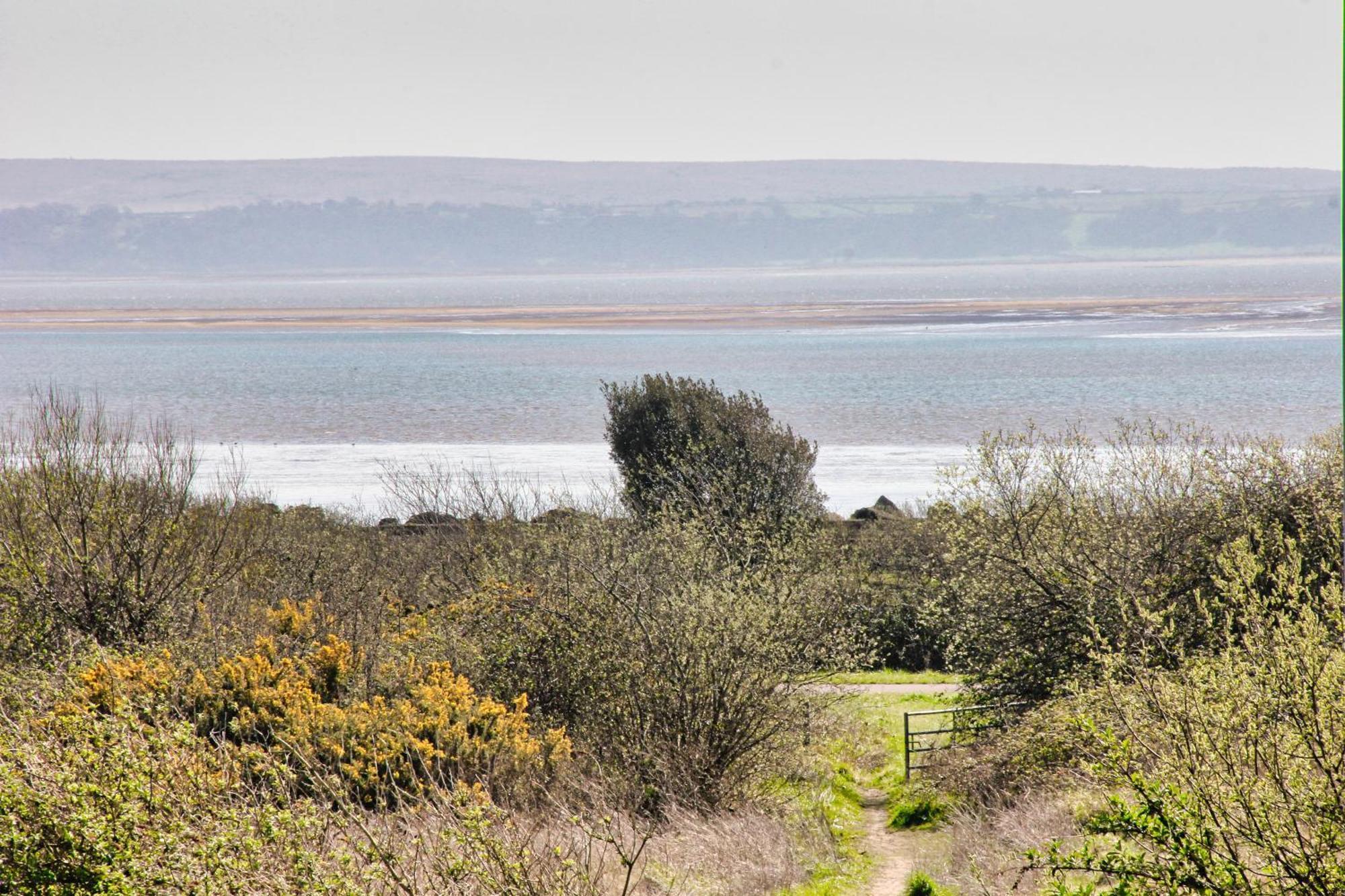 Blue Rose Cottage Burry Port Δωμάτιο φωτογραφία
